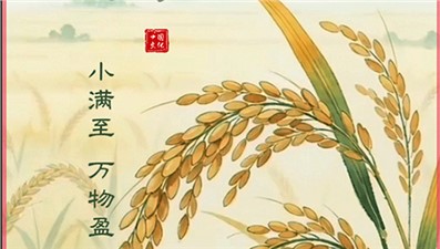 🌾小满至，万物盈